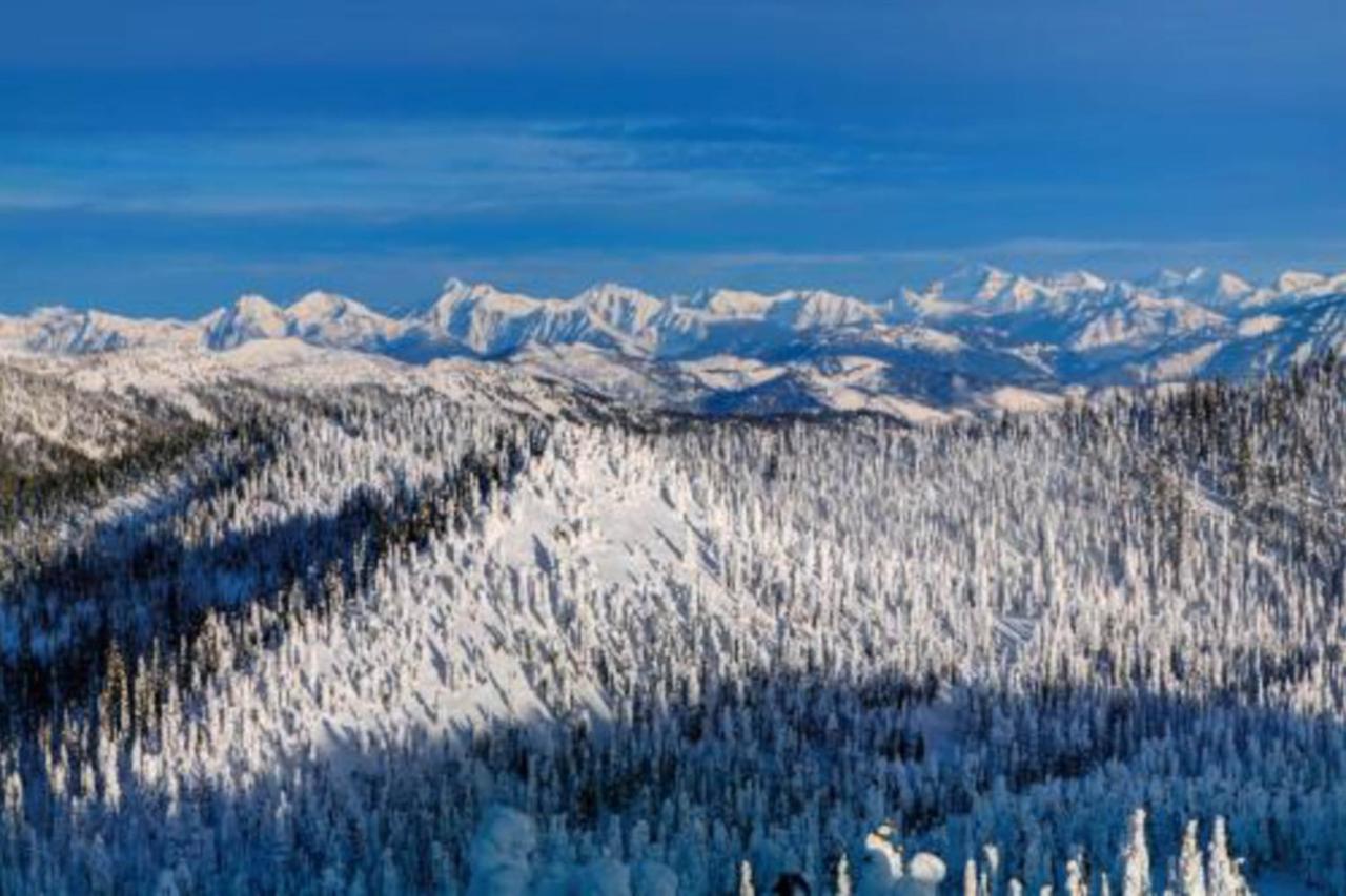 Wooded Dreams Apartment Whitefish Bagian luar foto
