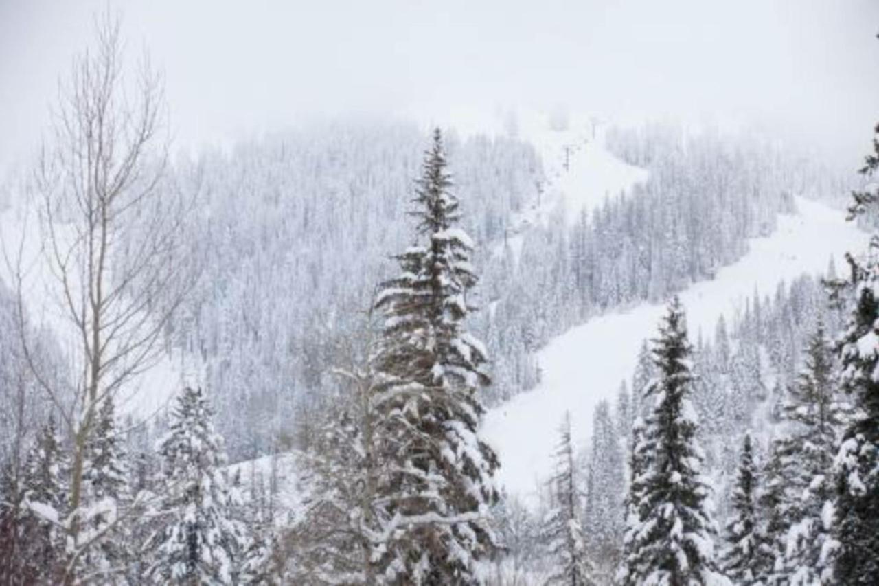 Wooded Dreams Apartment Whitefish Bagian luar foto